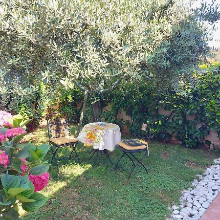 Appartamento Alida Umag Dış mekan fotoğraf