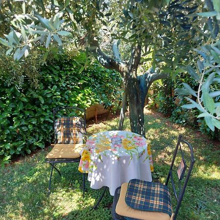 Appartamento Alida Umag Dış mekan fotoğraf