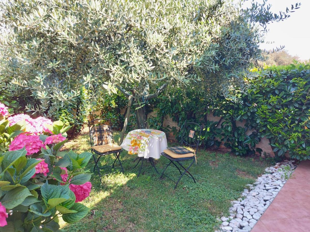 Appartamento Alida Umag Dış mekan fotoğraf