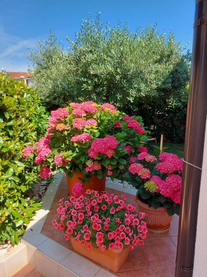 Appartamento Alida Umag Dış mekan fotoğraf