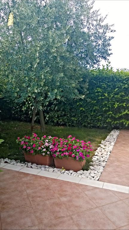 Appartamento Alida Umag Oda fotoğraf