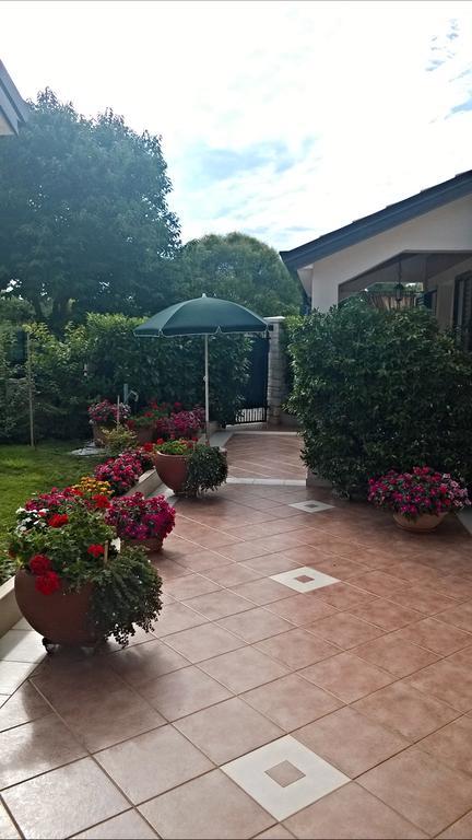 Appartamento Alida Umag Oda fotoğraf